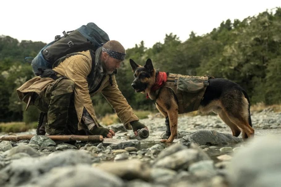 En el corazón de la bestia: Brad Pitt solo bien se lame (**)