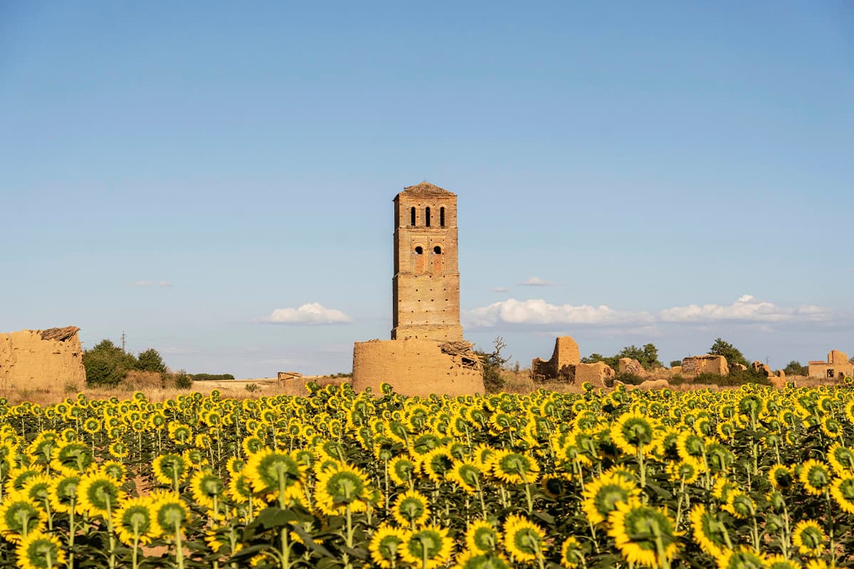 Villacreces (Valladolid), el pueblo de adobe que vuelve a la tierra y del que sólo queda una torre entre girasoles