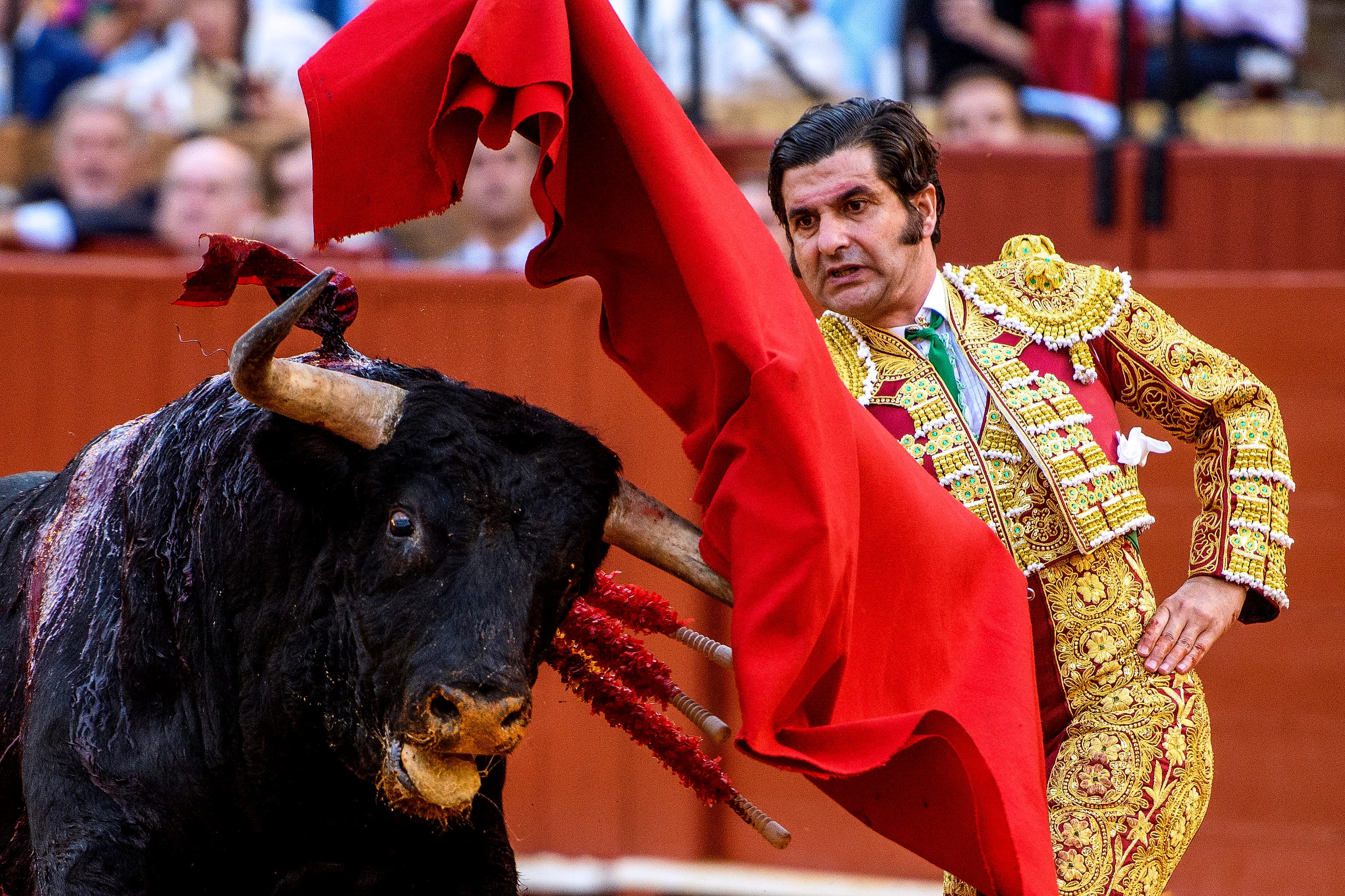 Preocupación tras la debacle de Garcigrande y Morante de la Puebla en Sevilla