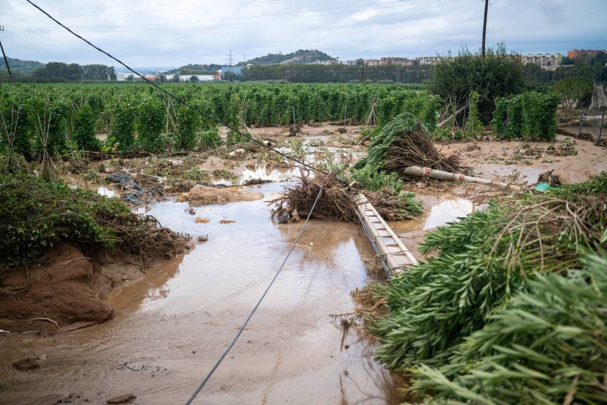 La Junta declara la situación 1 de emergencia en Ávila por la situación de embalses