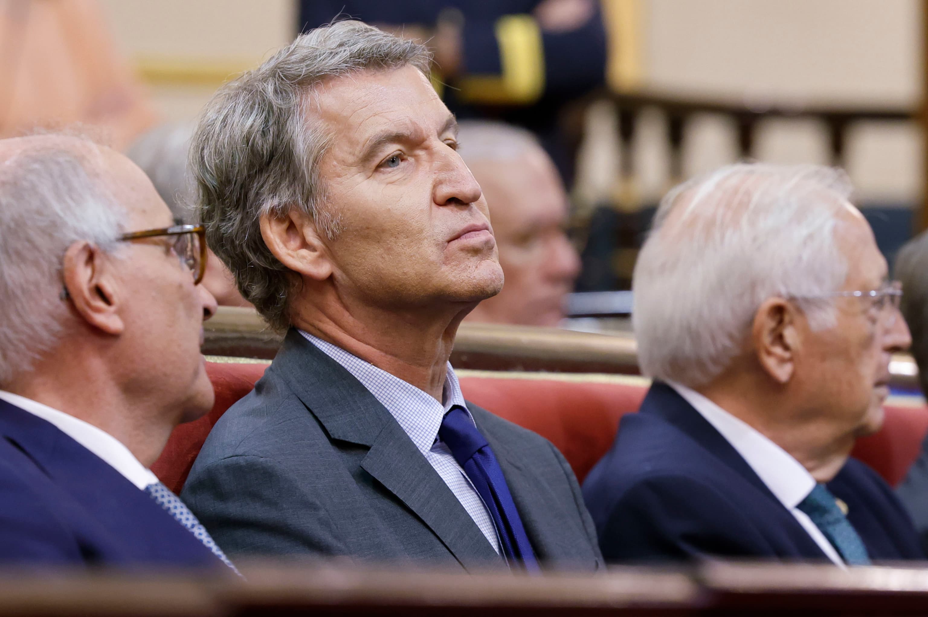 El PP pide en la Audiencia Nacional la imputación del PSOE por financiación ilegal