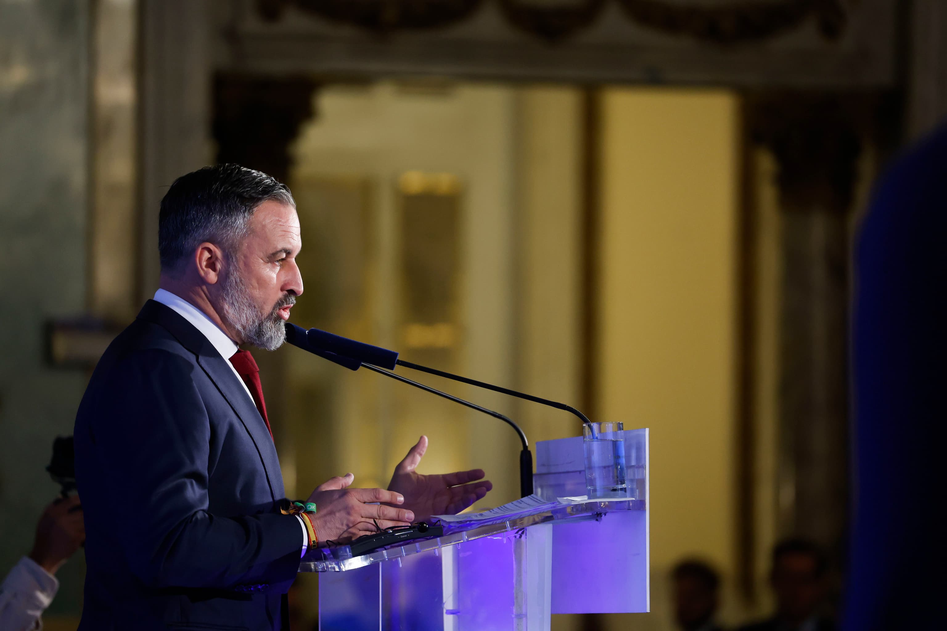 Abascal asegura que actuará "con altura de miras" tras el acuerdo de la izquierda para concurrir en coalición al Senado