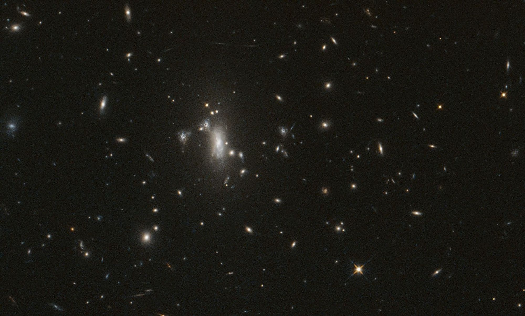 NASA's Hubble Telescope Reaches Milestone, Looks for Elusive Supernova