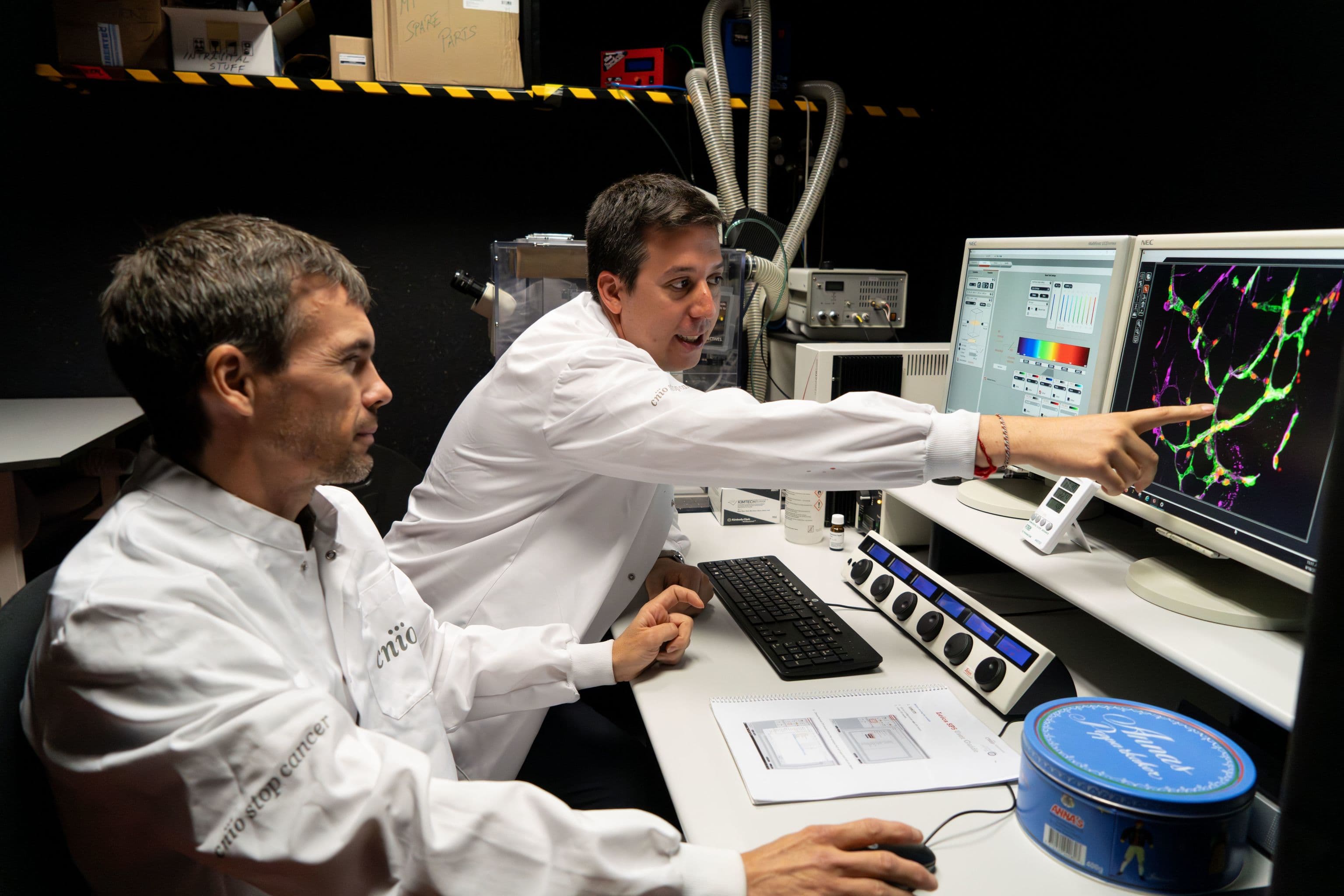 Investigadores españoles desvelan una vía para atacar a las metástasis cerebrales cuando son más vulnerables