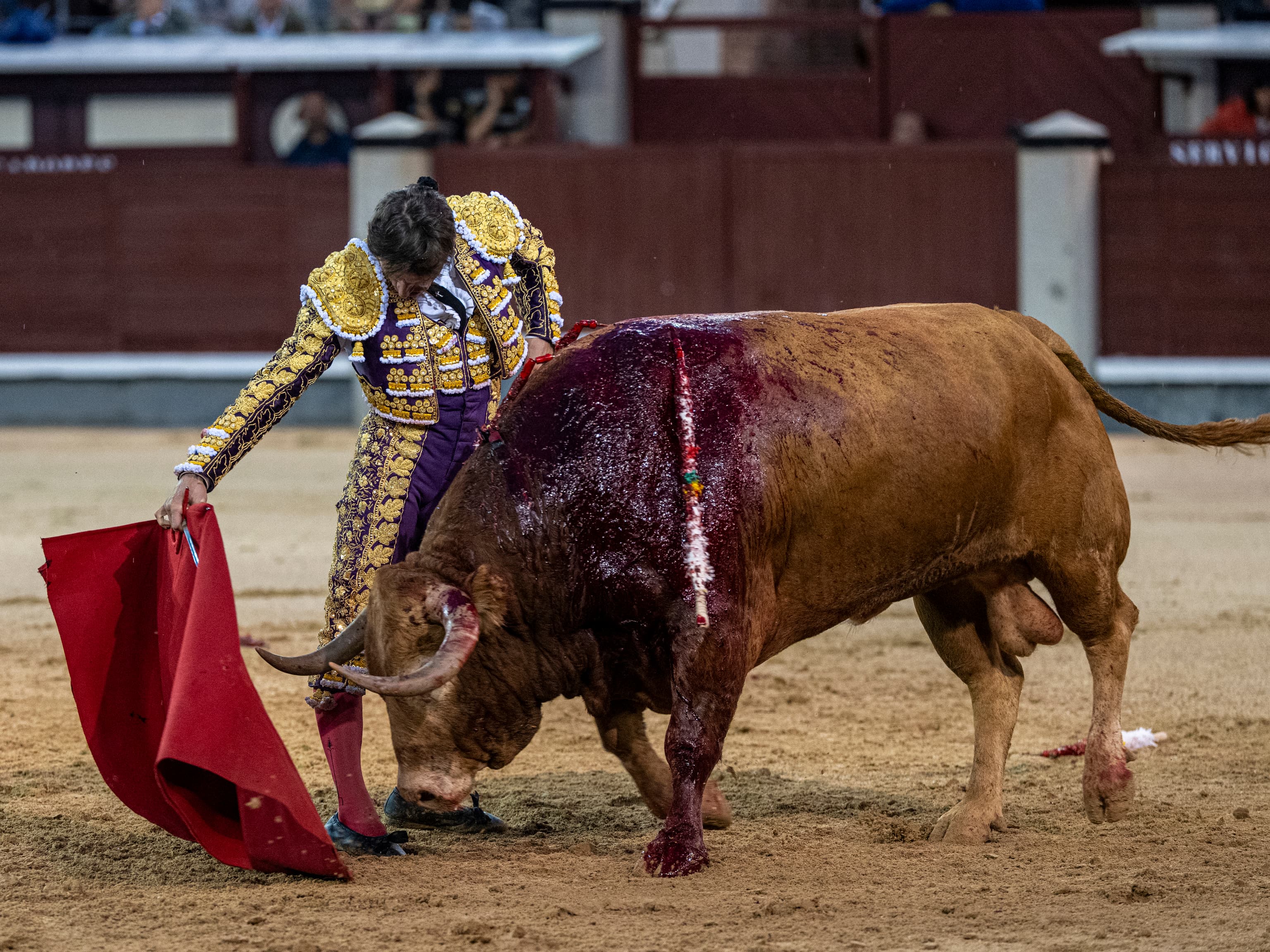 La belleza madura de Diego Urdiales bajo la lluvia evoca a Curro Vázquez en Las Ventas