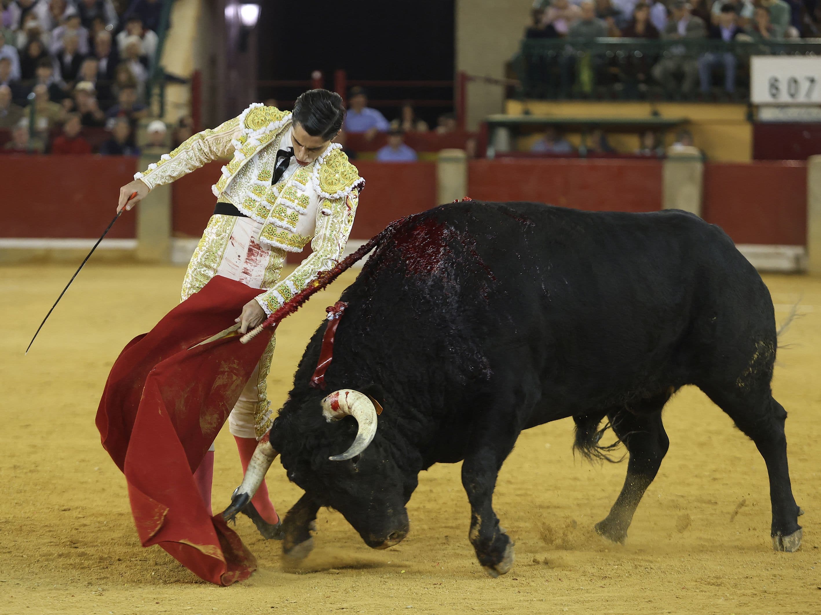 La ilusión de El Mene frente a la decepción de Morante en Zaragoza
