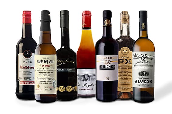 Montilla 2027: siete botellas para descubrir la futura Ciudad Española del Vino