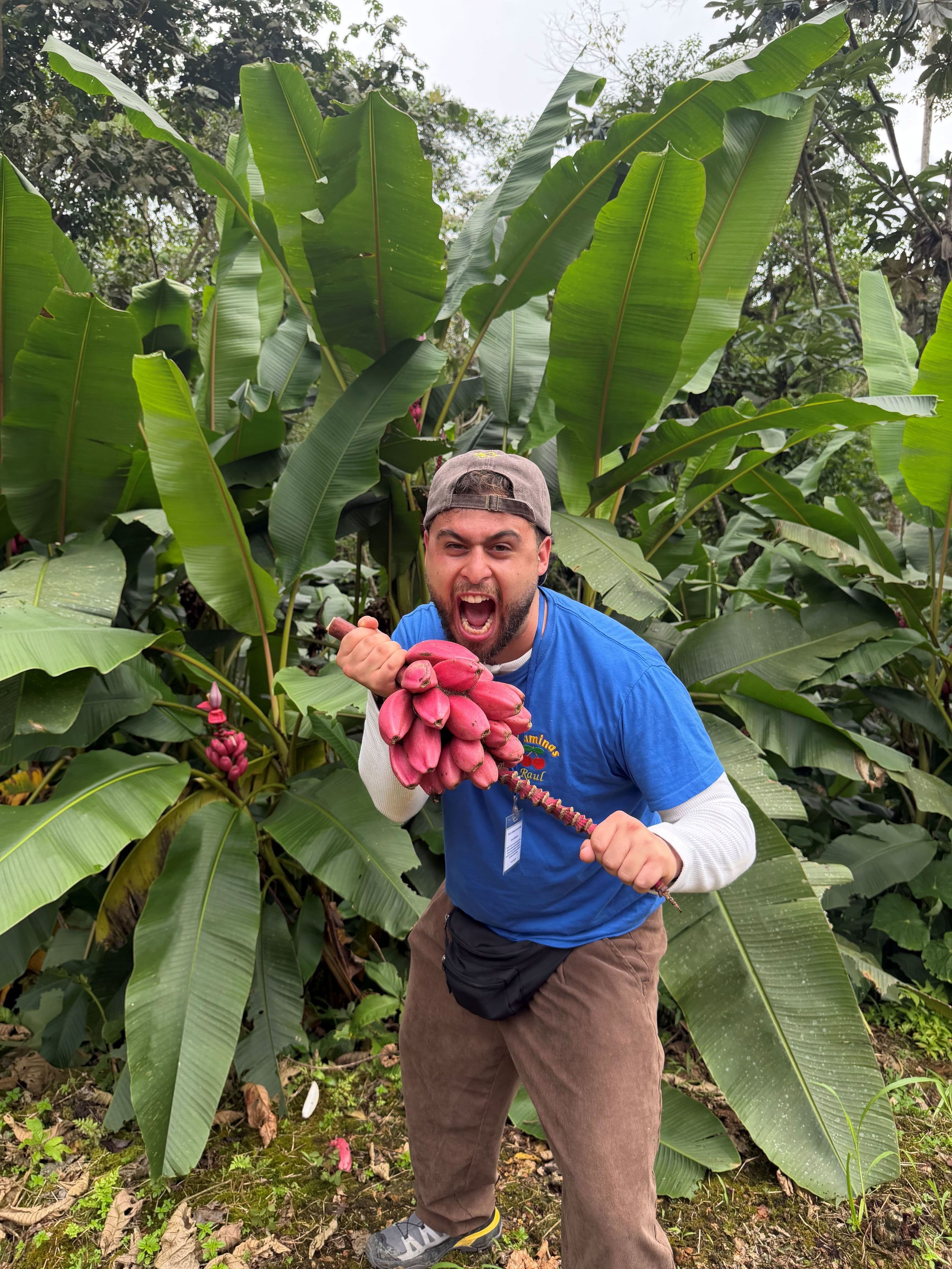 ¿Quién es Raúl Cárdaba, el frutero de Ciudad Lineal que ha convertido las frutas exóticas en un fenómeno viral?
